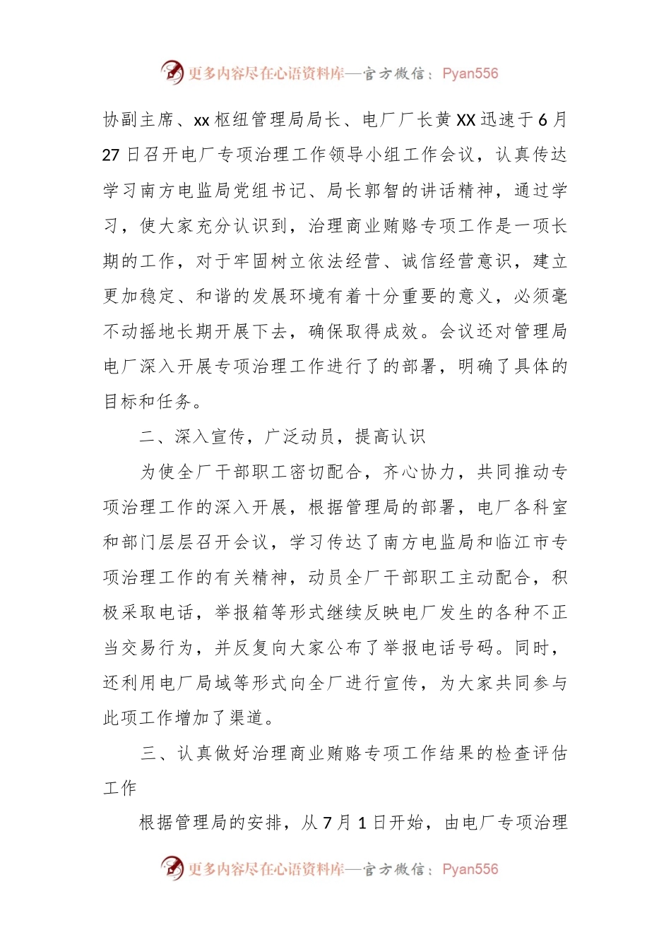 专项工作报告模板.docx_第2页