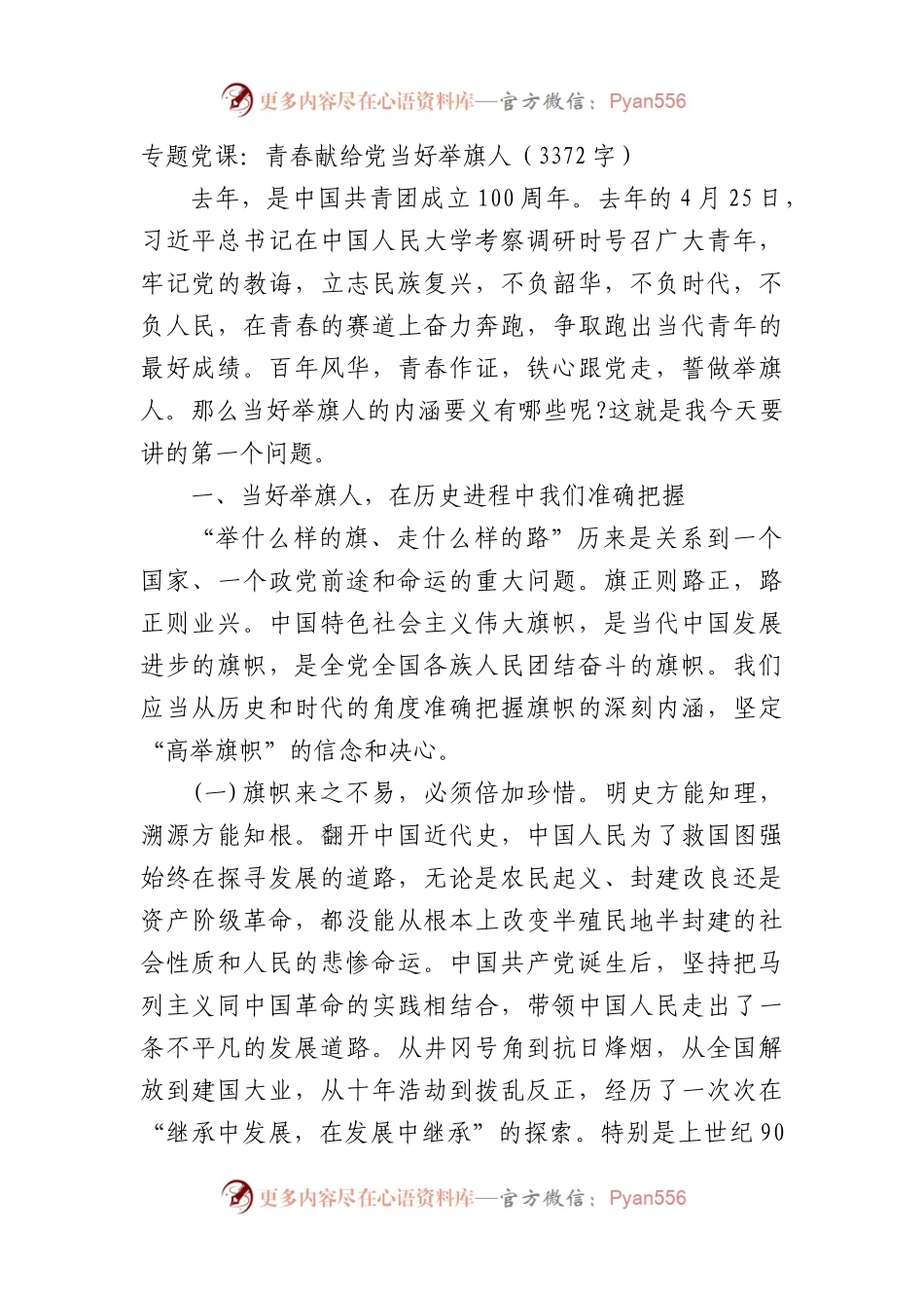 专题党课：青春献给党当好举旗人.docx_第1页