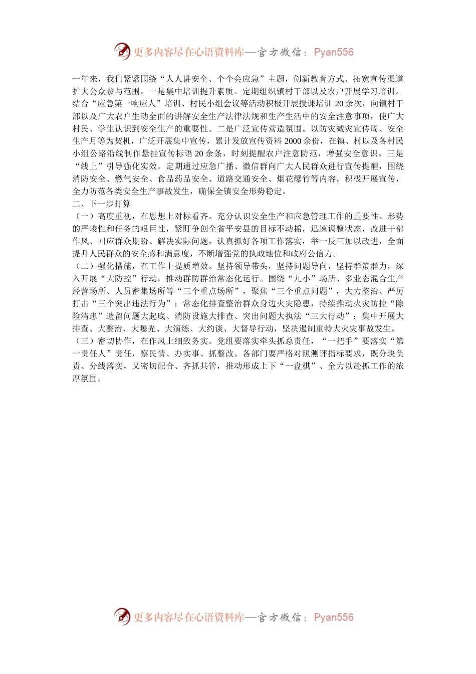 乡镇应急管理和安全生产工作总结.docx_第2页