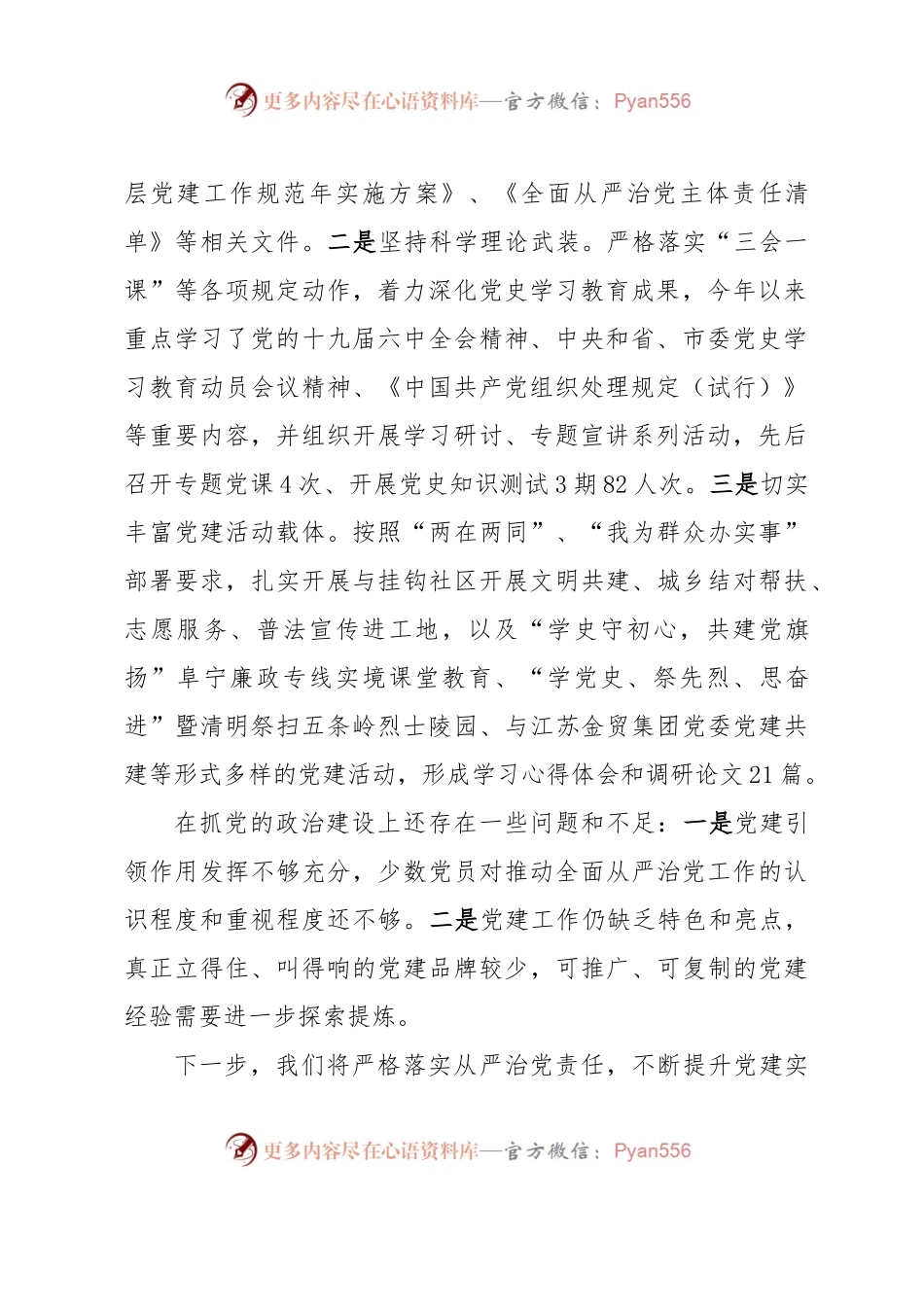 上半年落实全面从严治党主体责任述职报告.docx_第2页