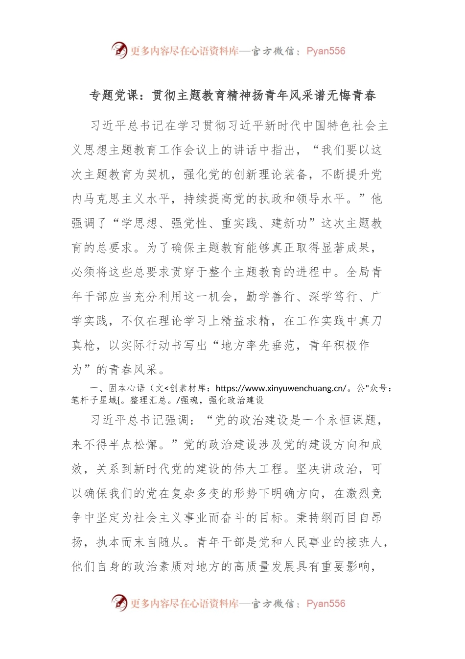专题党课：贯彻主题教育精神 扬青年风采 谱无悔青春.docx_第1页