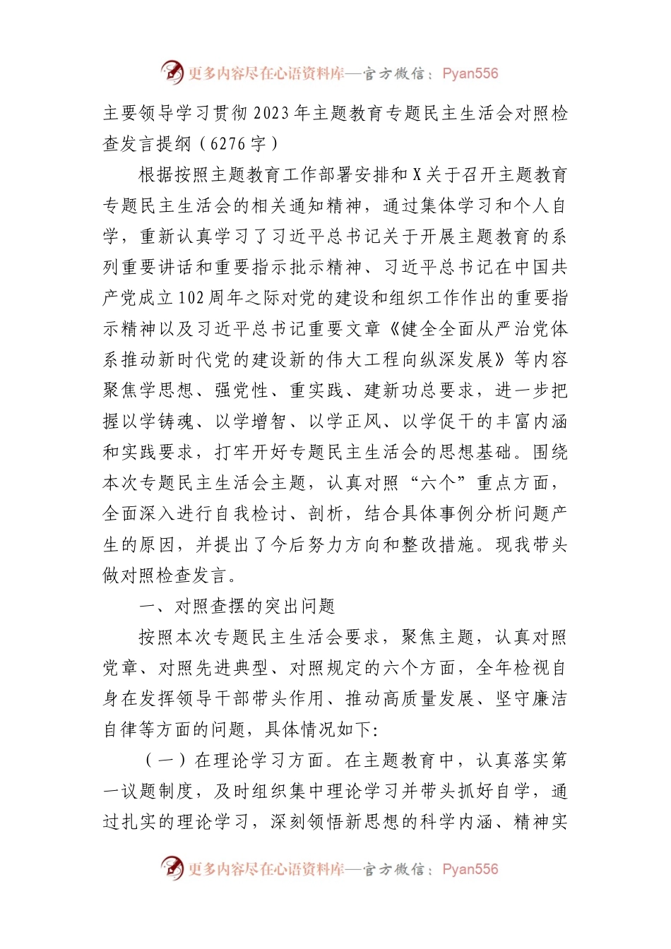 主要领导学习贯彻2023年主题教育专题民主生活会对照检查发言提纲.docx_第1页