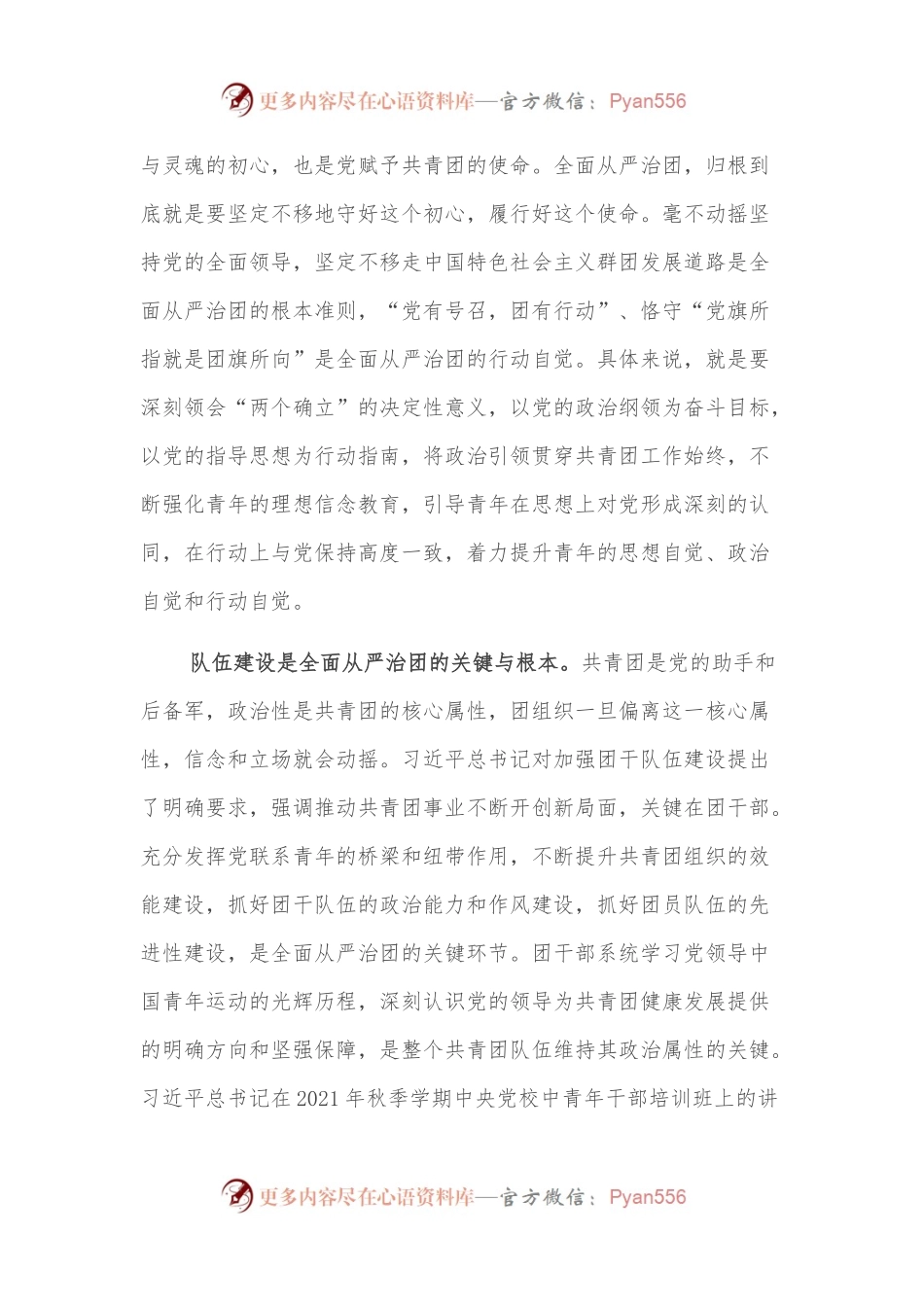 专题党课：以全面从严治团护航新时代共青团工作新征程.docx_第2页