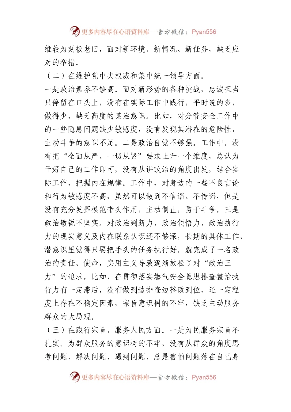 乡镇人大主席2023年度专题民主生活会发言提纲（践行宗旨等6个方面+典型案例+政绩观）.docx_第2页