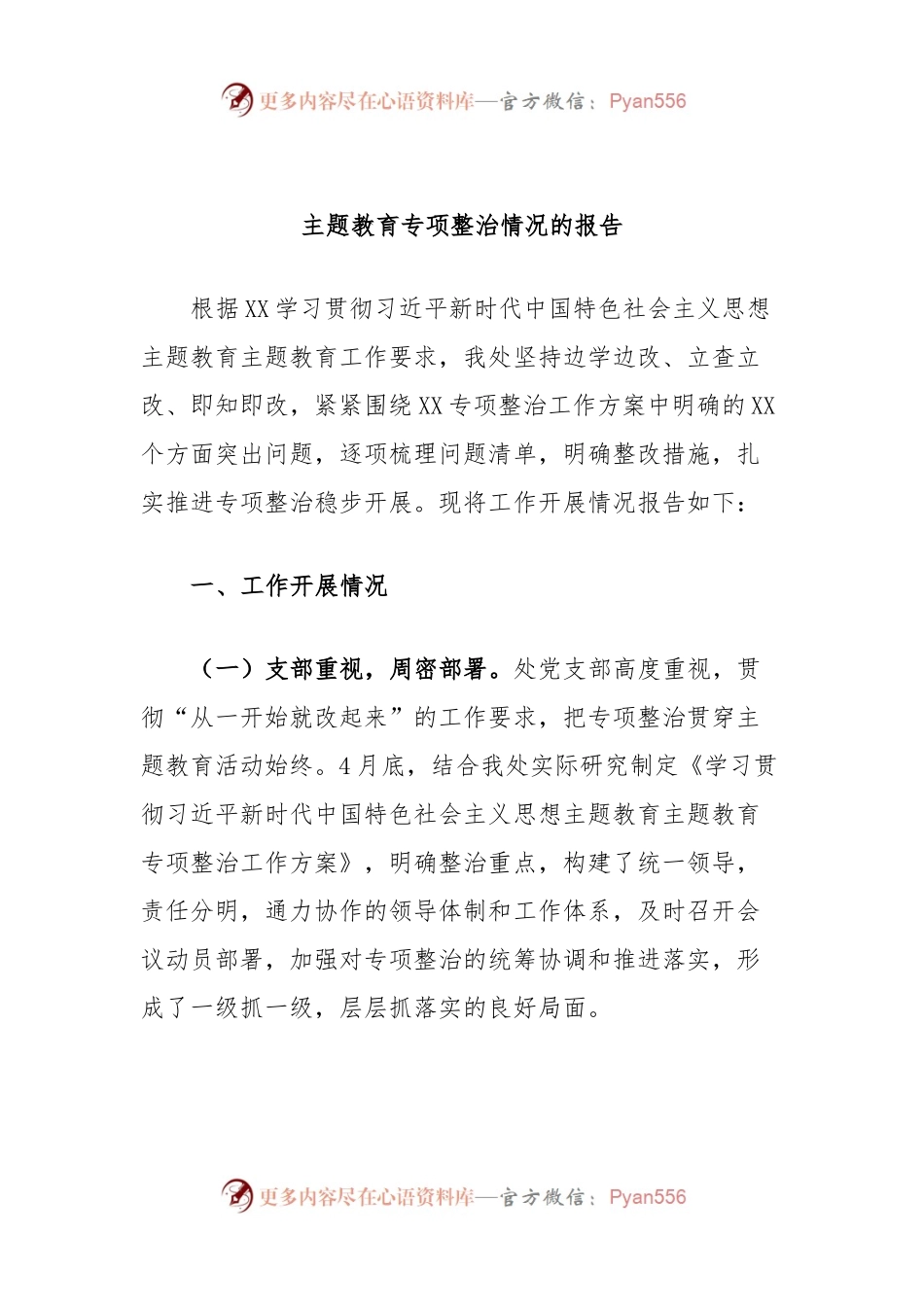 主题教育专项整治情况的报告.docx_第1页