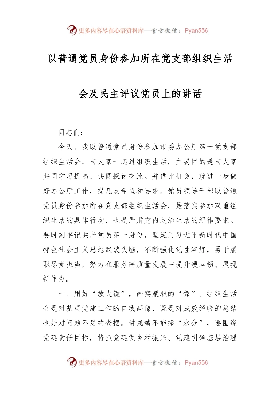 以普通党员身份参加所在党支部组织生活会及民主评议党员上的讲话稿.docx_第1页