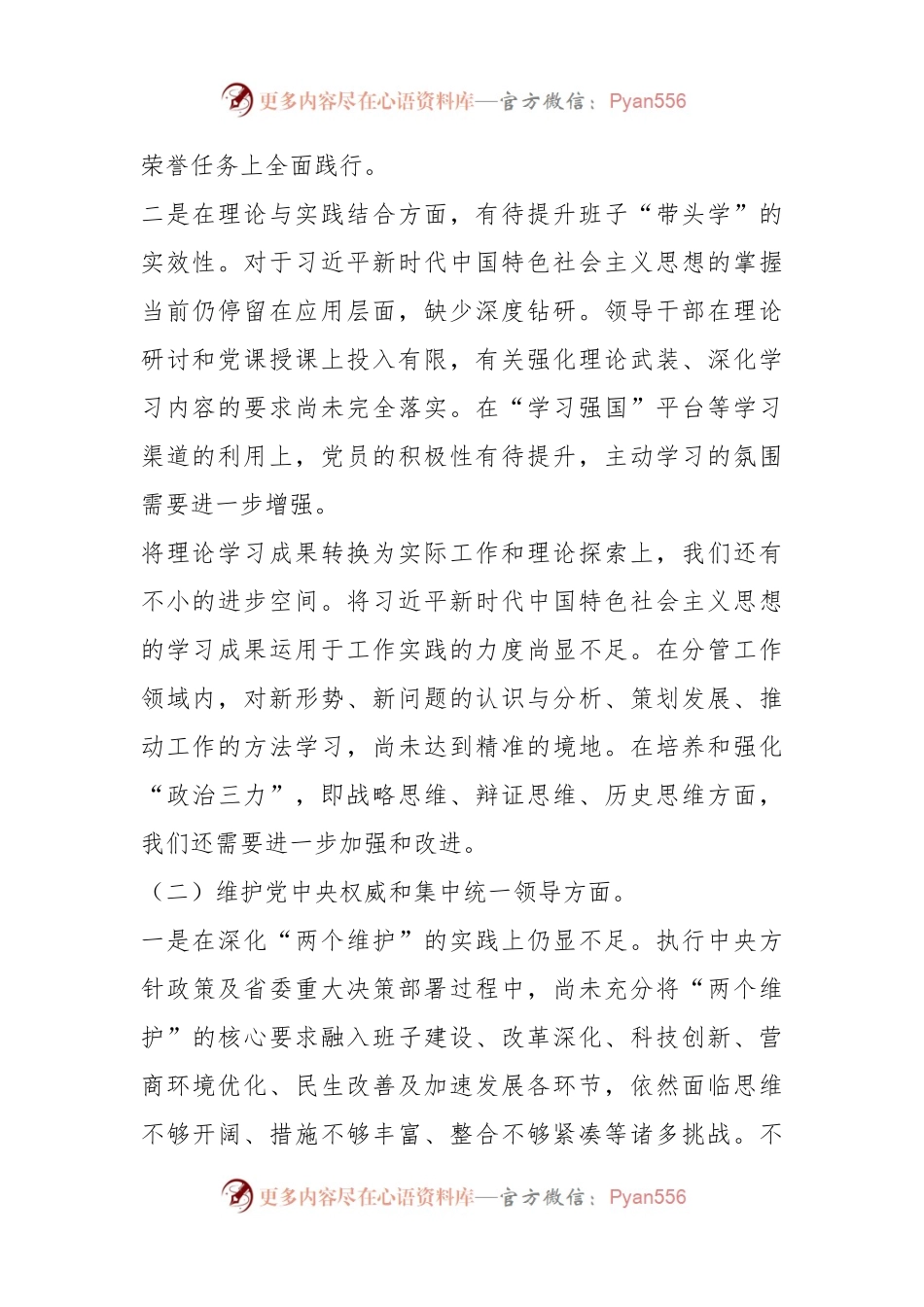 主题教育专题民主生活会领导班子对照检查材料（二）.docx_第2页