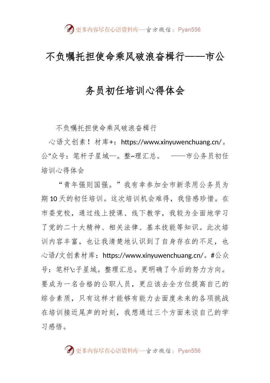 不负嘱托担使命乘风破浪奋楫行——市公务员初任培训心得体会.docx_第1页