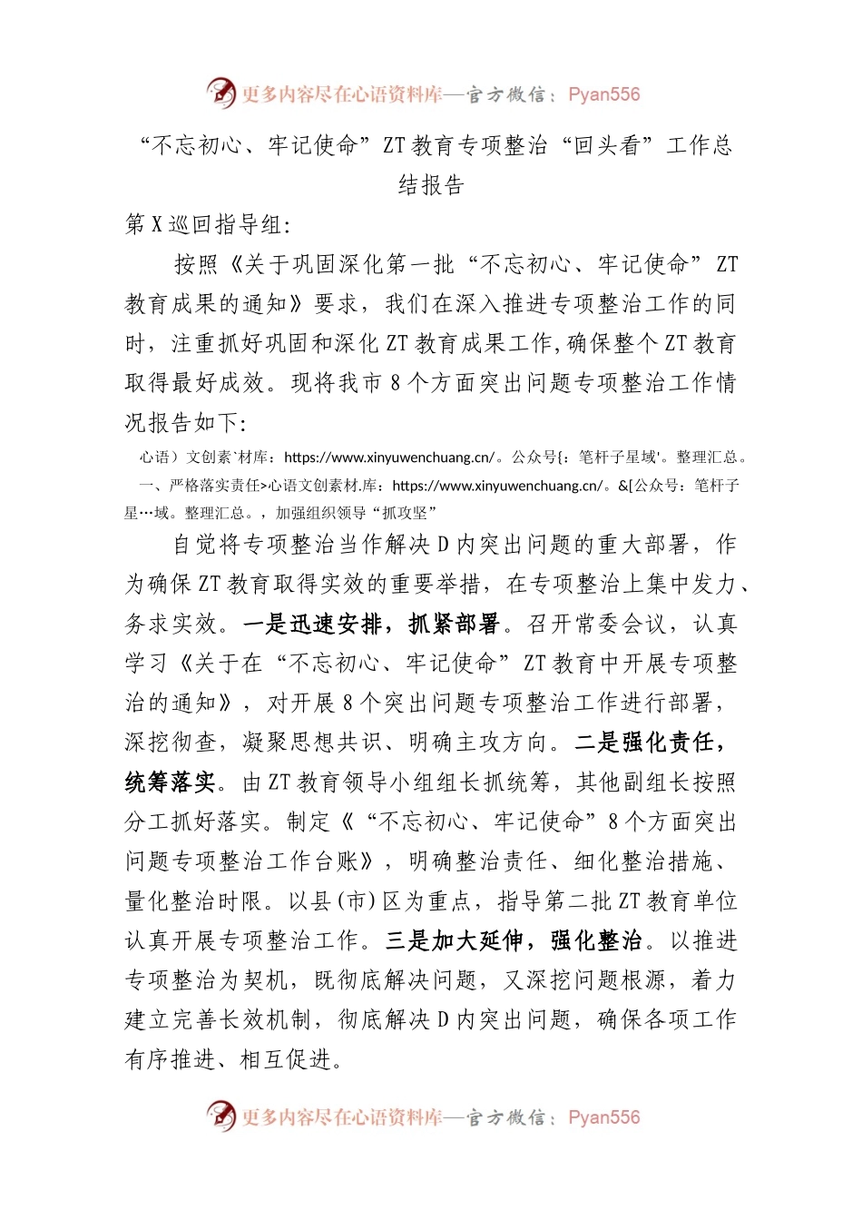 主题教育专项整治回头看工作总结报告.docx_第1页