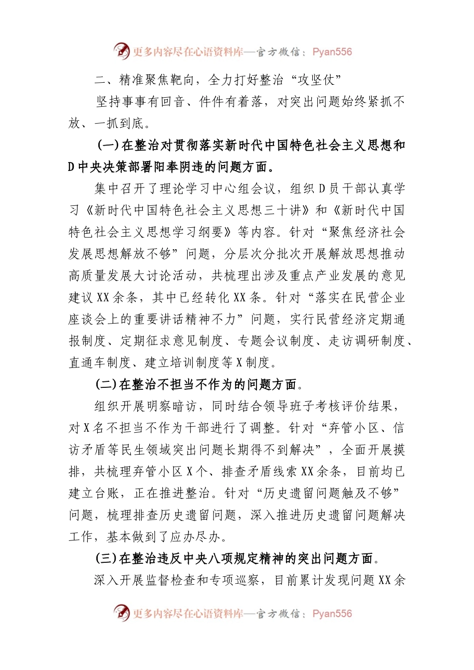 主题教育专项整治回头看工作总结报告.docx_第2页