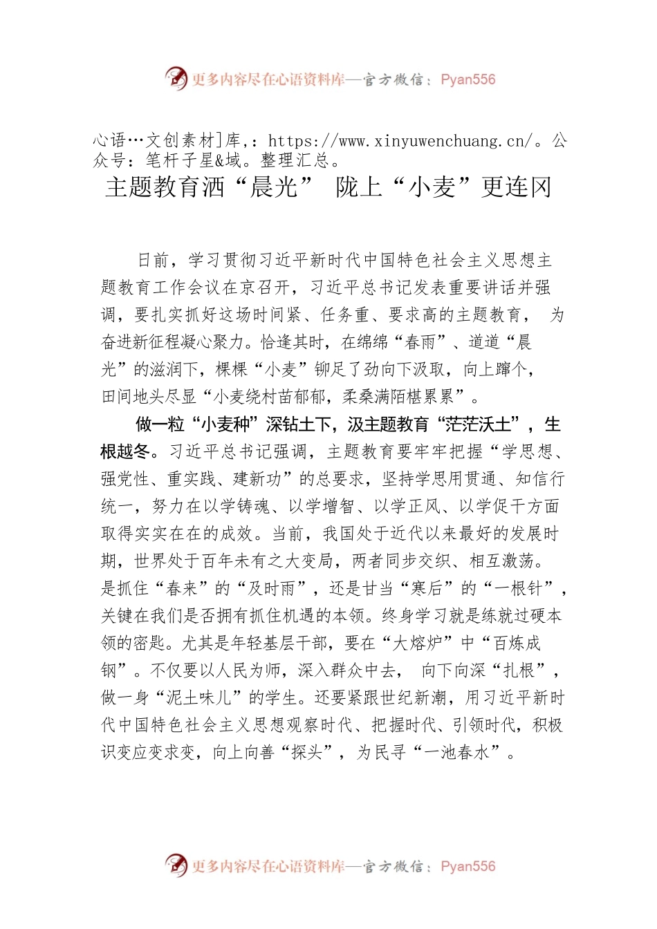 主题教育洒“晨光” 陇上“小麦”更连冈.docx_第1页