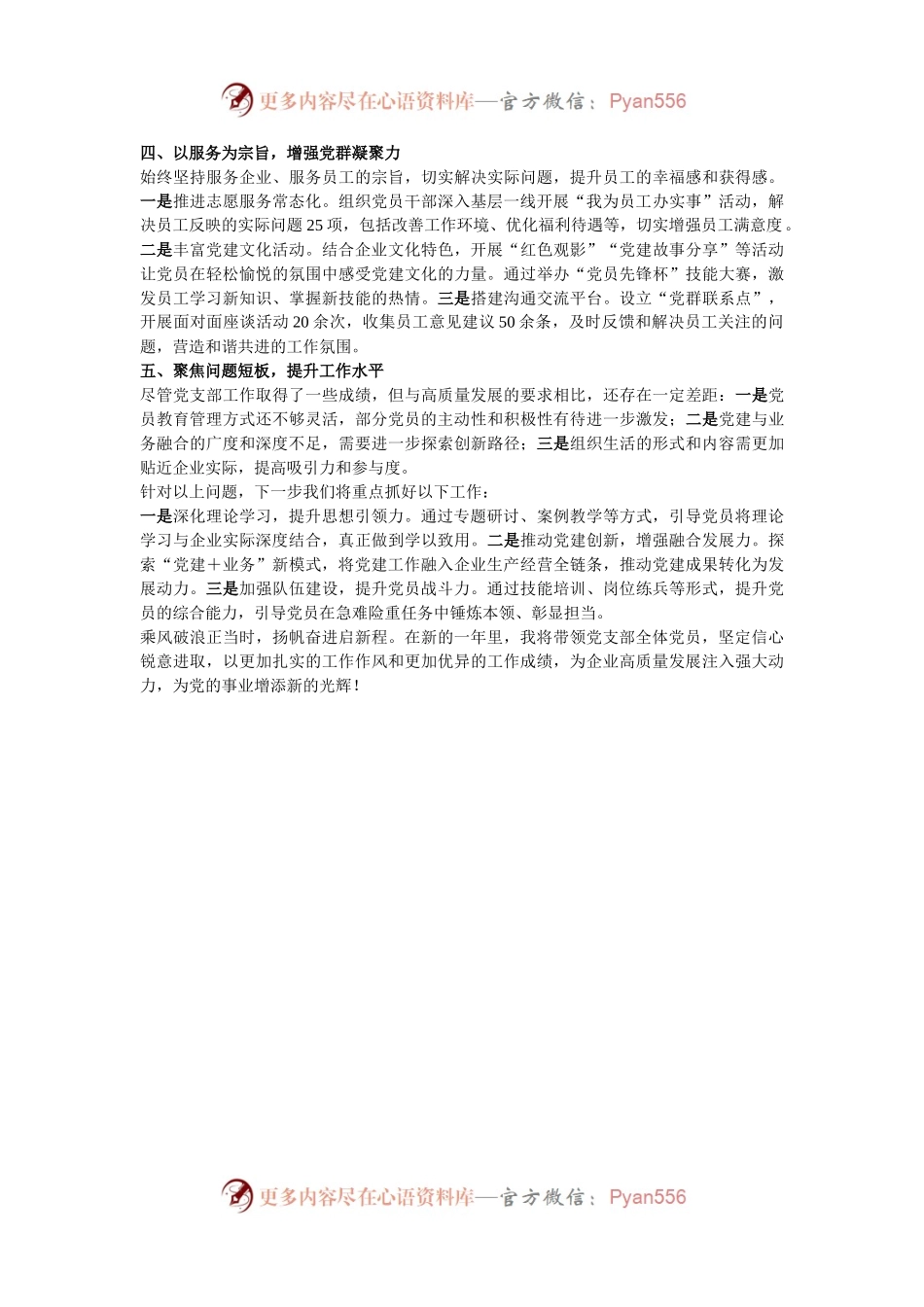 企业2024年党支部书记述职报告.docx_第2页