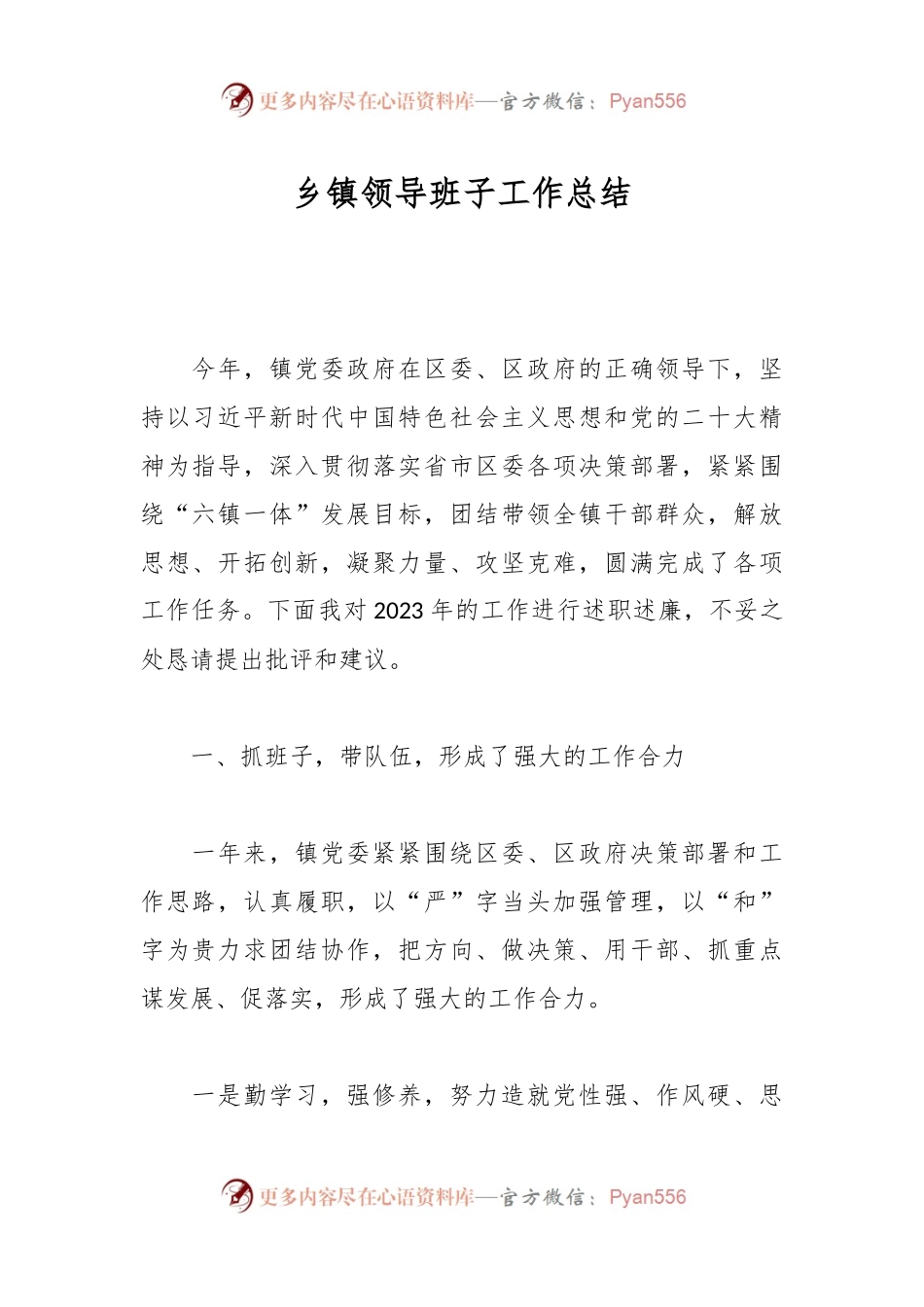 乡镇领导班子工作总结.docx_第1页