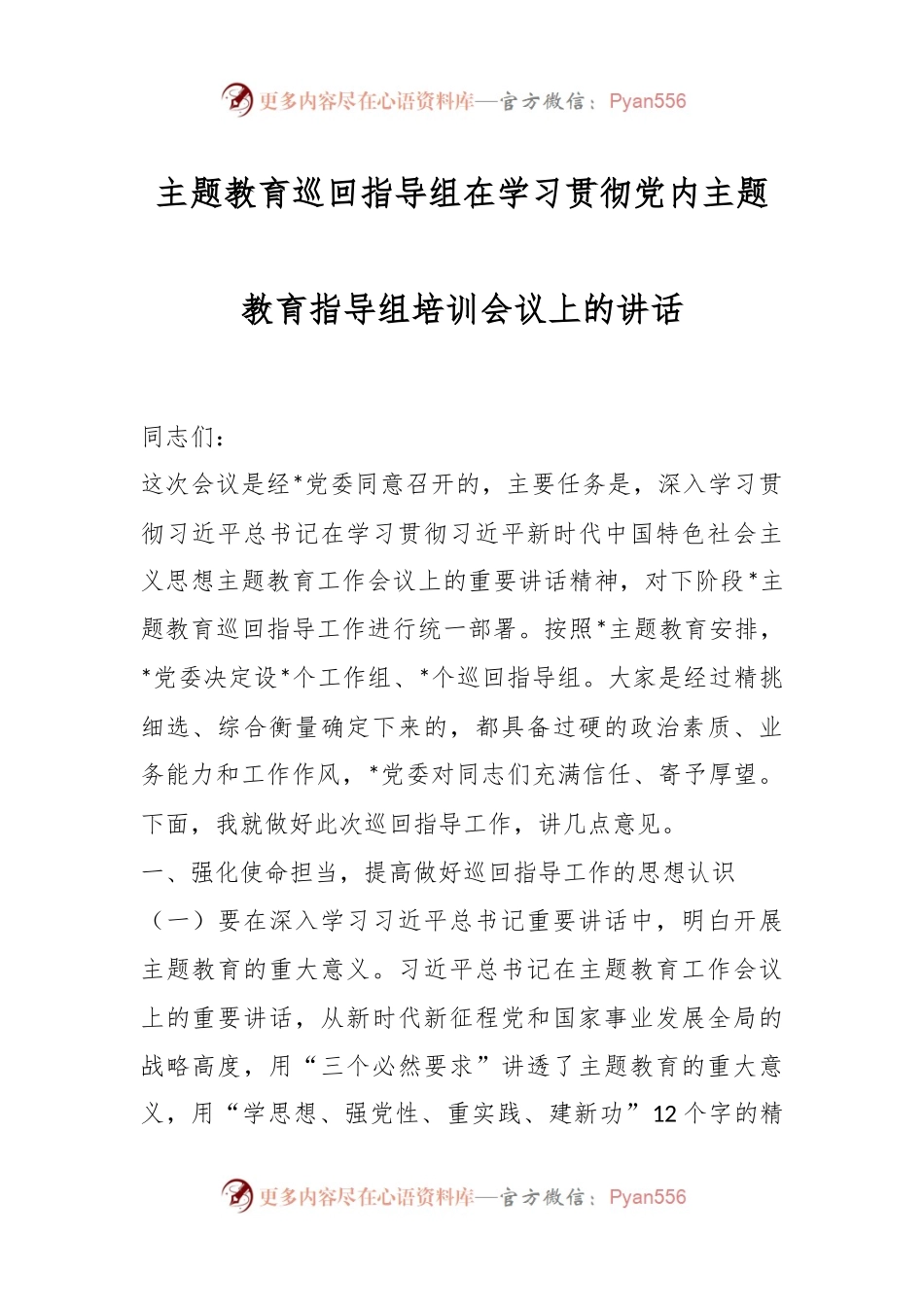 主题教育巡回指导组在学习贯彻党内主题教育指导组培训会议上的讲话.docx_第1页