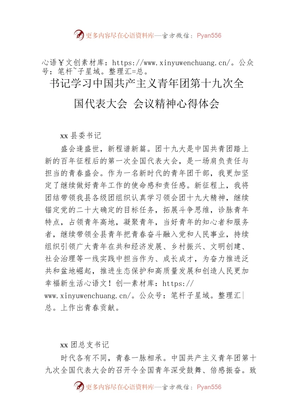 书记学习中国共产主义青年团第十九次全国代表大会 会议精神心得体会.docx_第1页