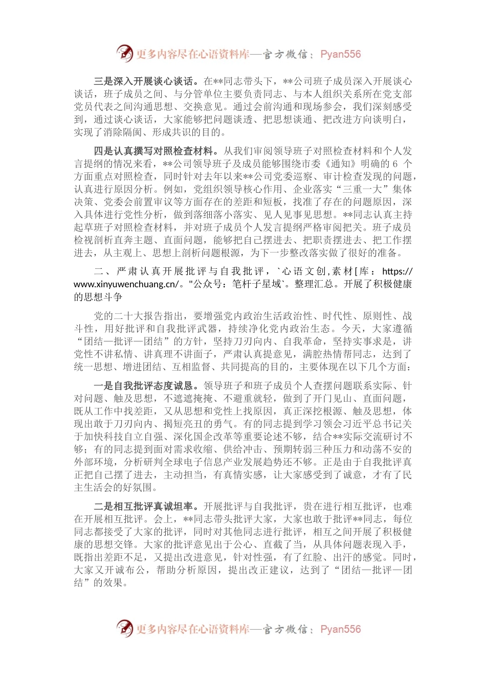 上级督导组指导国企领导班子2022年民主生活会点评讲话提纲.docx_第2页