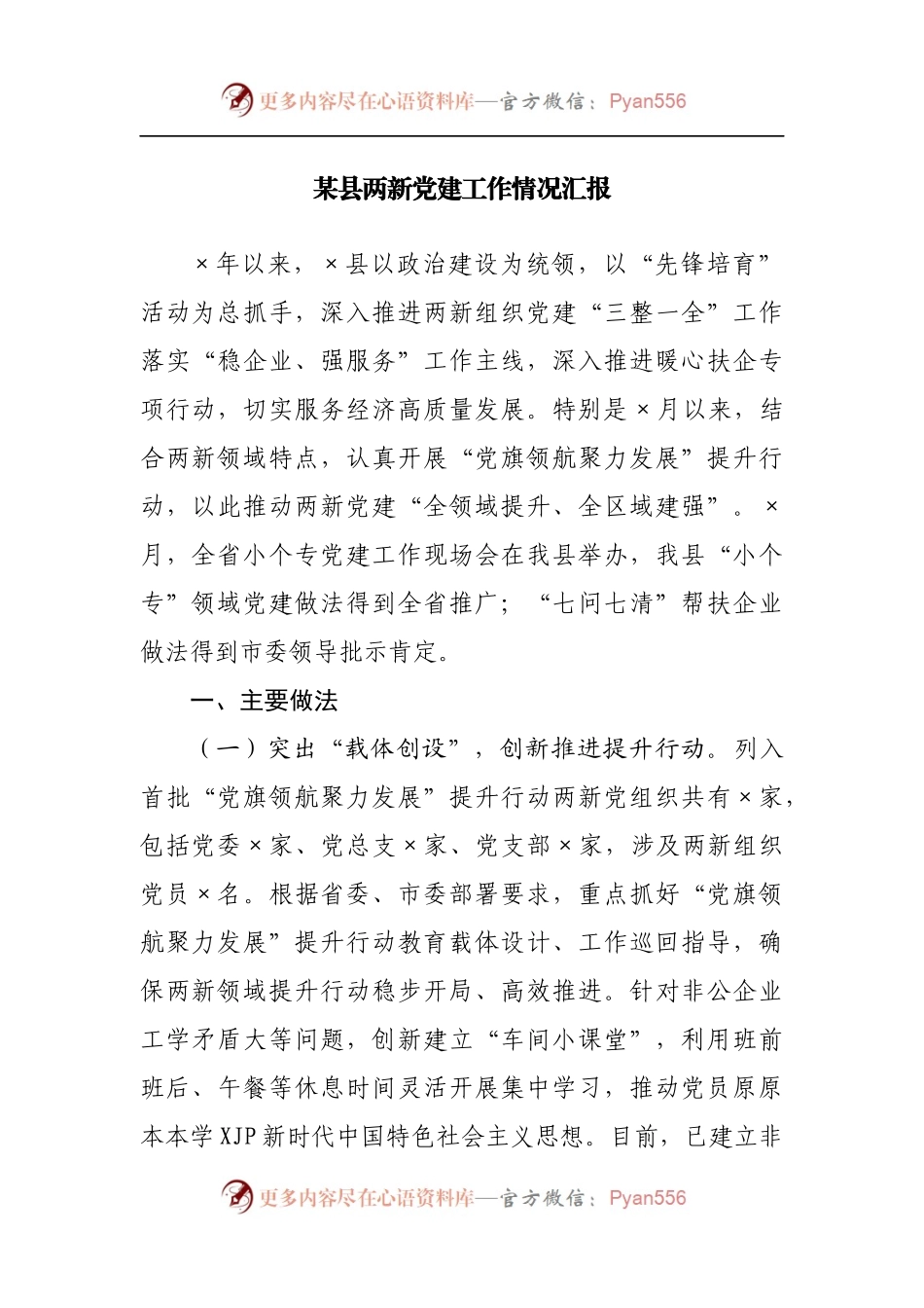 两新党建工作情况汇报（1）.docx_第1页