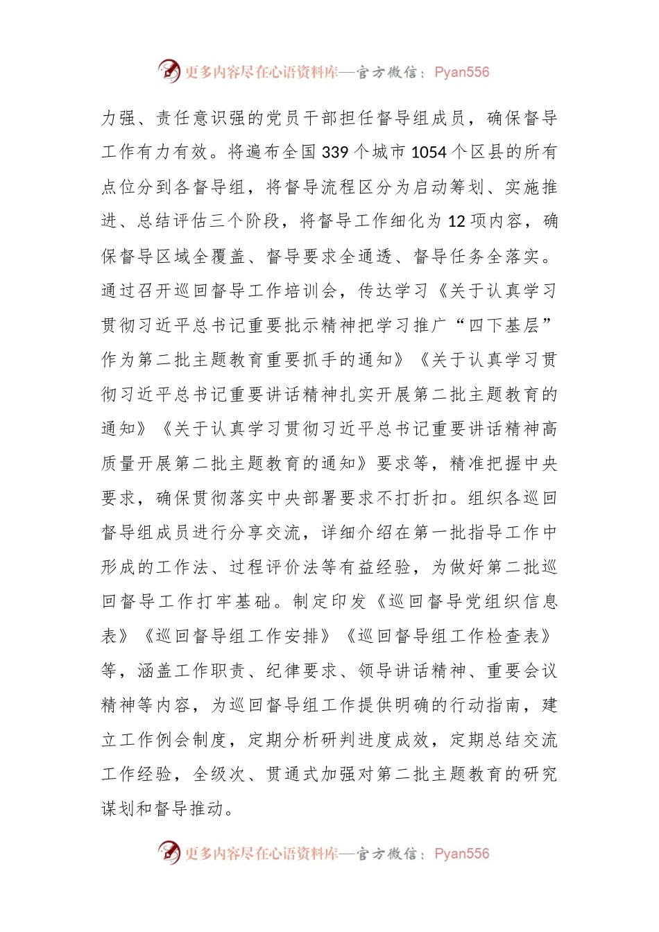主题教育经验做法：从严从实抓好督导 持续发力促实效.docx_第2页