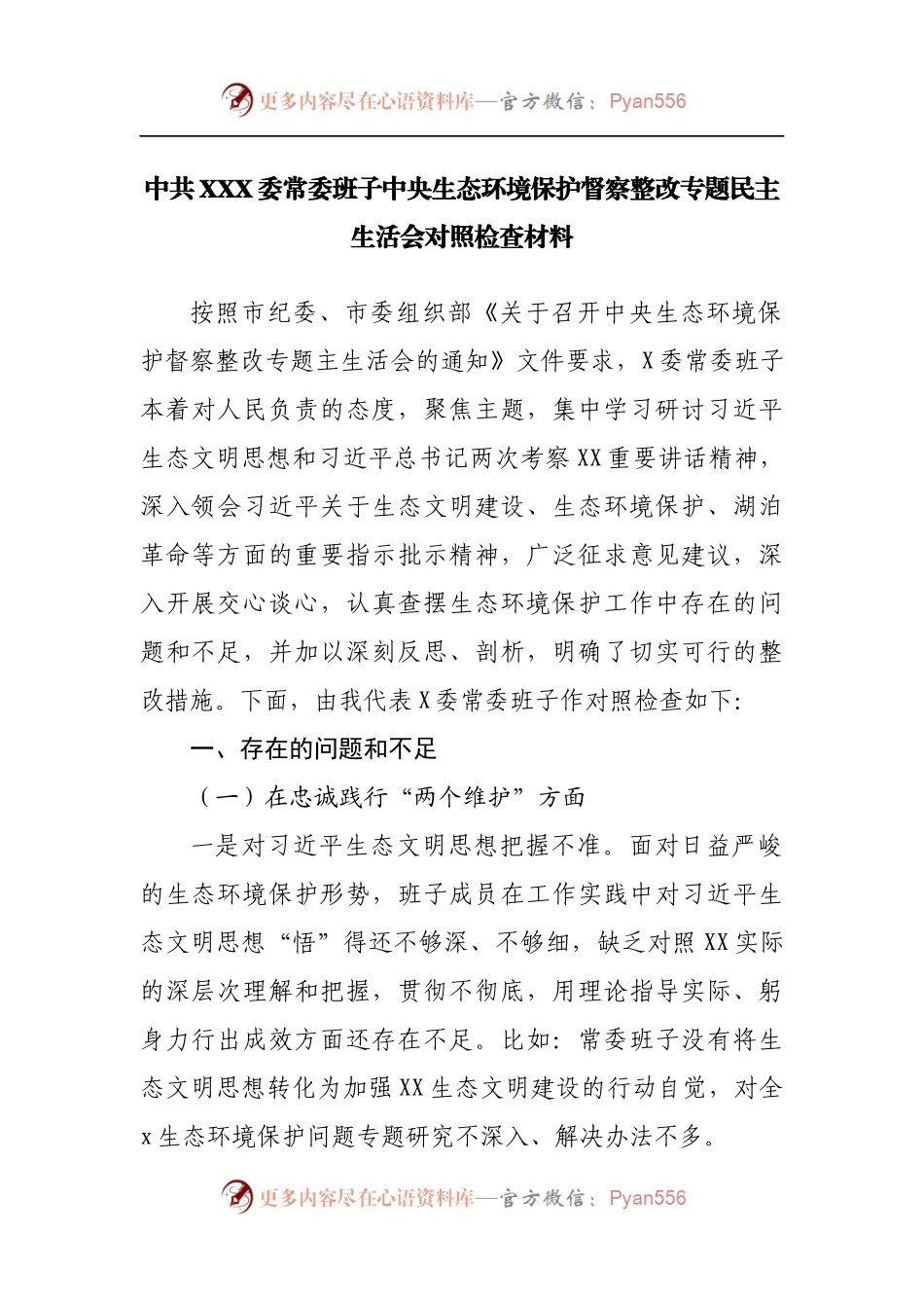 中央生态环境保护督察整改专题民主生活会领导班子对照检查材料.docx_第1页