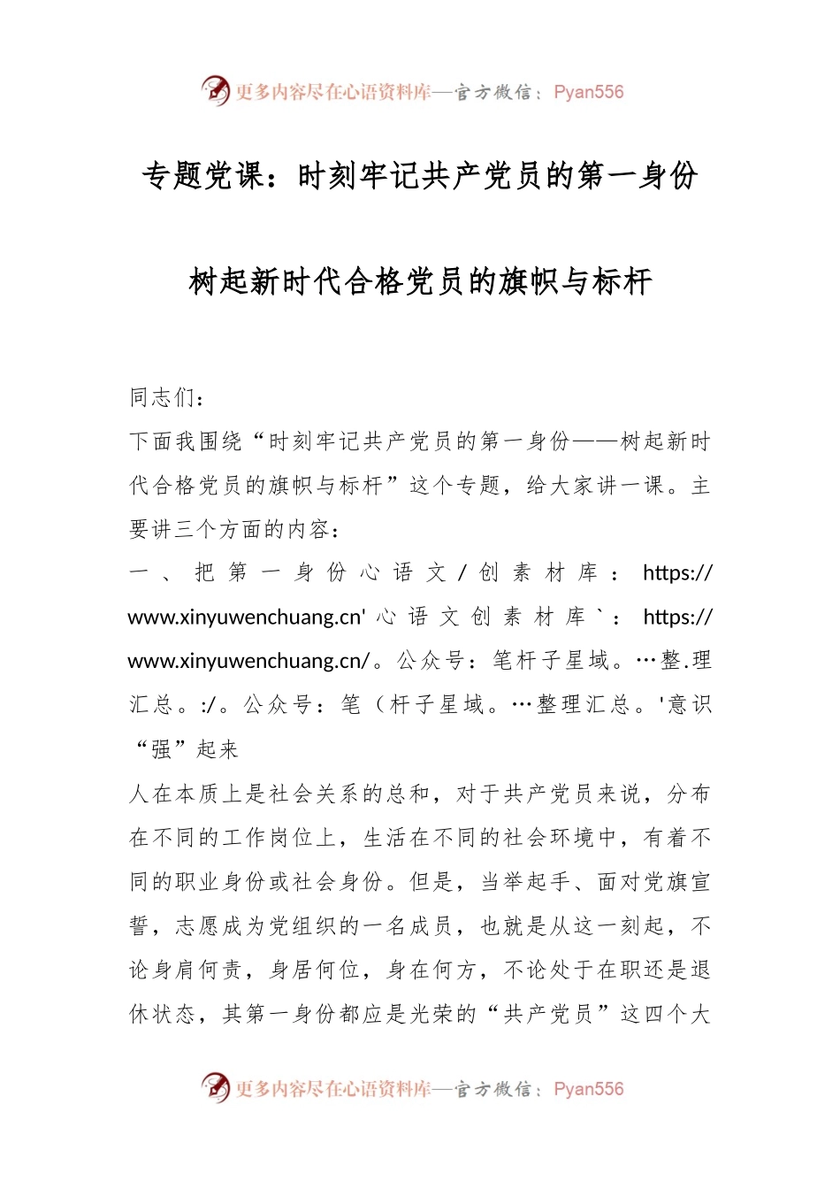 专题党课：时刻牢记共产党员的第一身份树起新时代合格党员的旗帜与标杆.docx_第1页