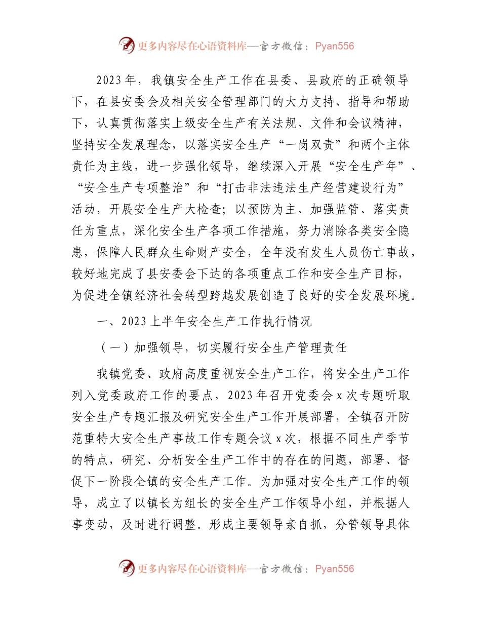 乡镇2023上半年安全生产工作总结3000字.docx_第1页