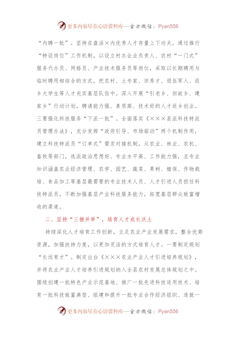 乡村振兴人才工作中心组发言.docx_第2页