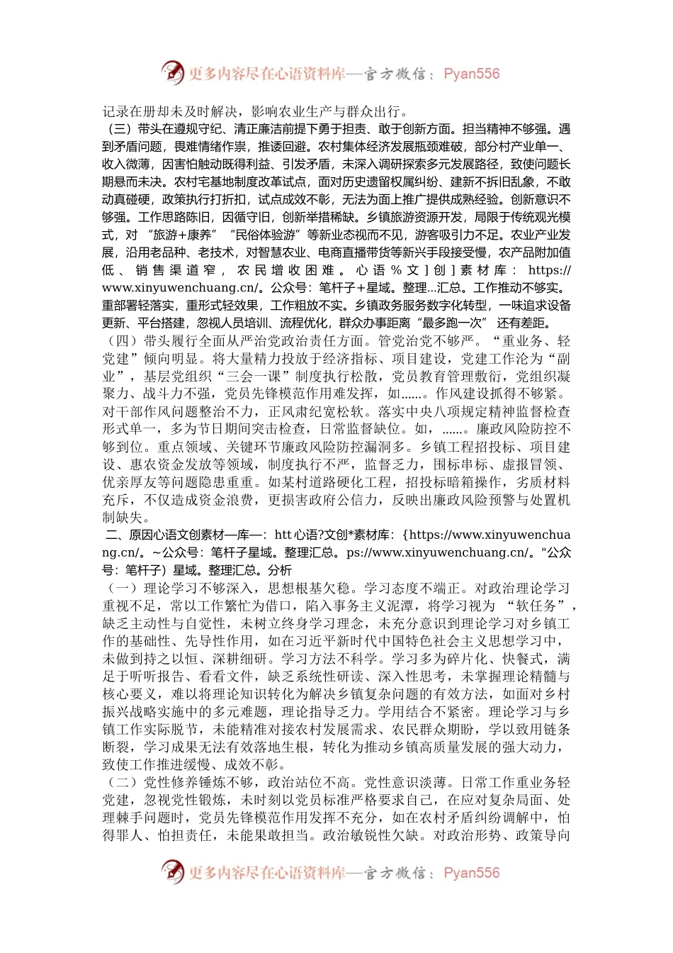 乡镇党委书记2024年专题民主生活会对照检查发言材料（四个带头）.docx_第2页