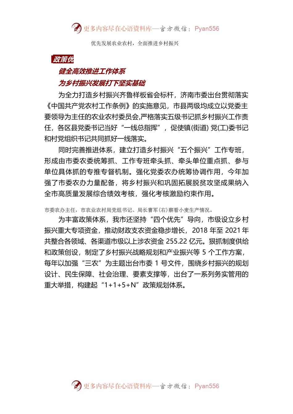 优先发展农业农村，全面推进乡村振兴.docx_第1页