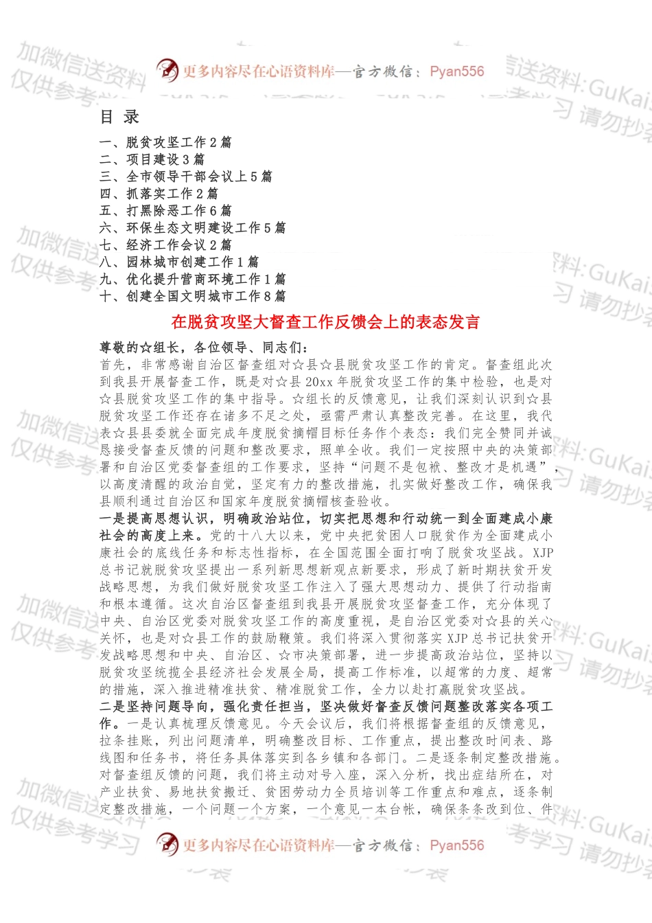 专项工作会议上的表态发言汇编（全文+目录）.docx_第1页