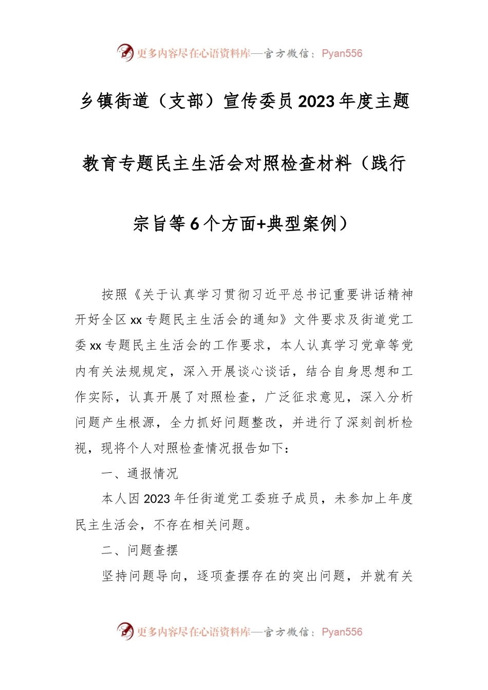 乡镇街道（支部）宣传委员2023年度主题教育专题民主生活会对照检查材料（践行宗旨等6个方面+典型案例）.docx_第1页
