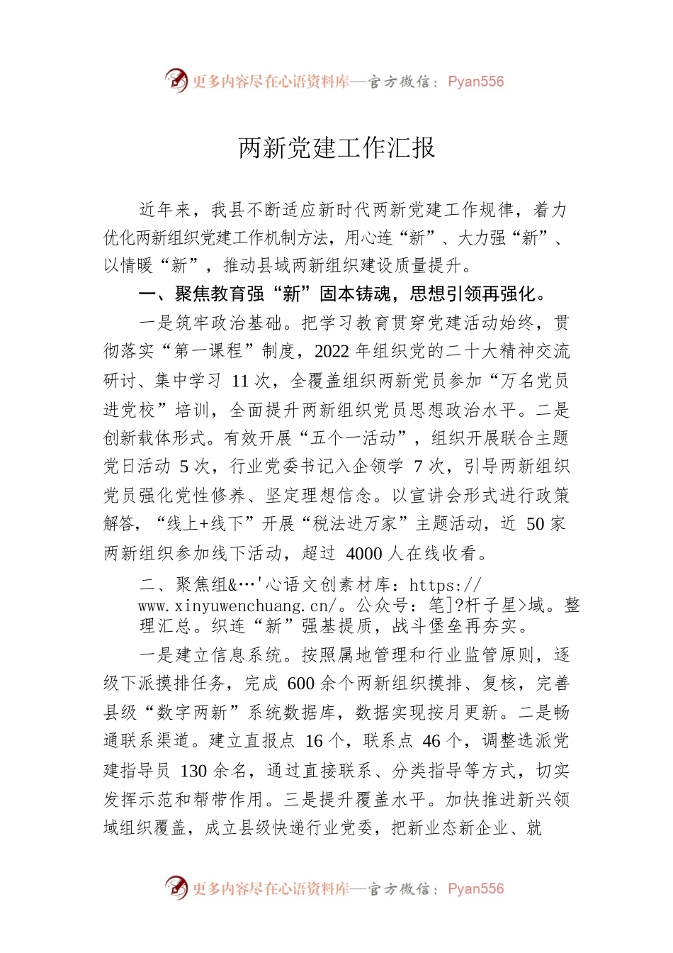 两新党建工作汇报.docx_第1页