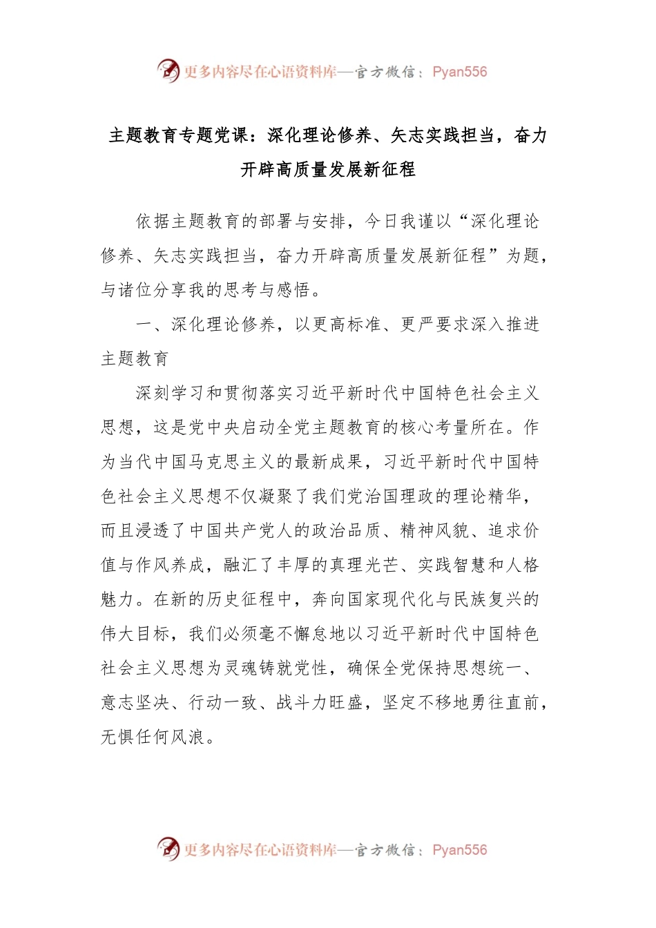 主题教育专题党课：深化理论修养、矢志实践担当，奋力开辟高质量发展新征程.docx_第1页