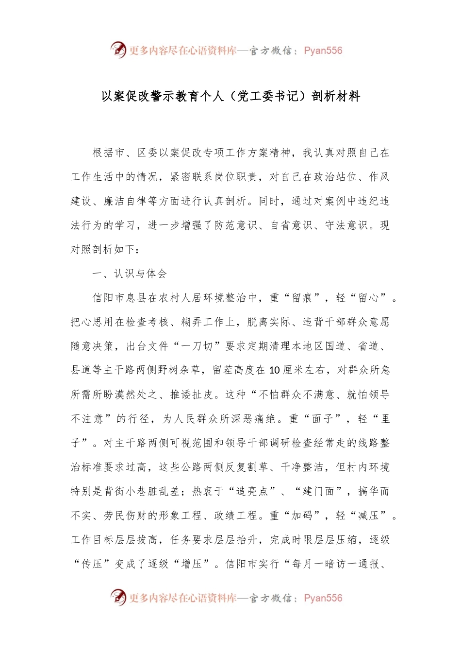 以案促改警示教育个人（党工委书记）剖析材料.docx_第1页