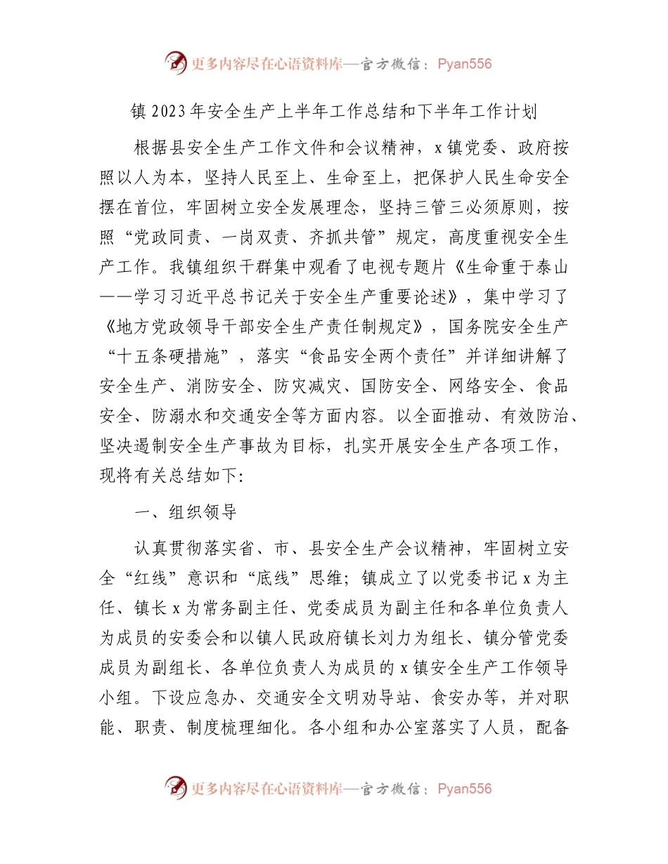 乡镇2023年安全生产上半年工作总结和下半年工作计划.docx_第1页