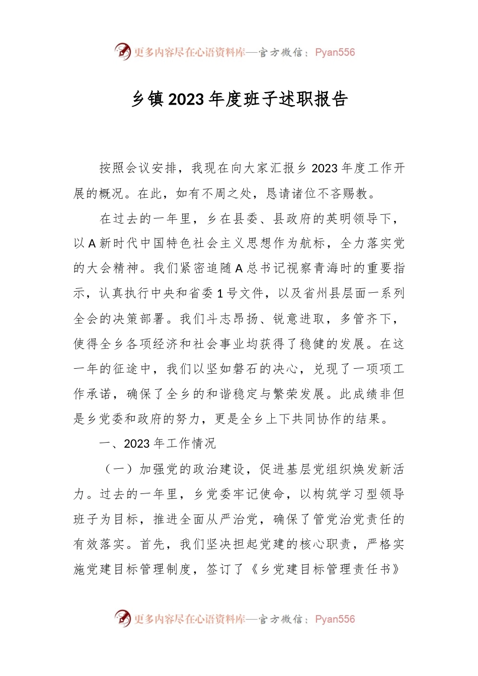 乡镇2023年度班子述职报告.docx_第1页