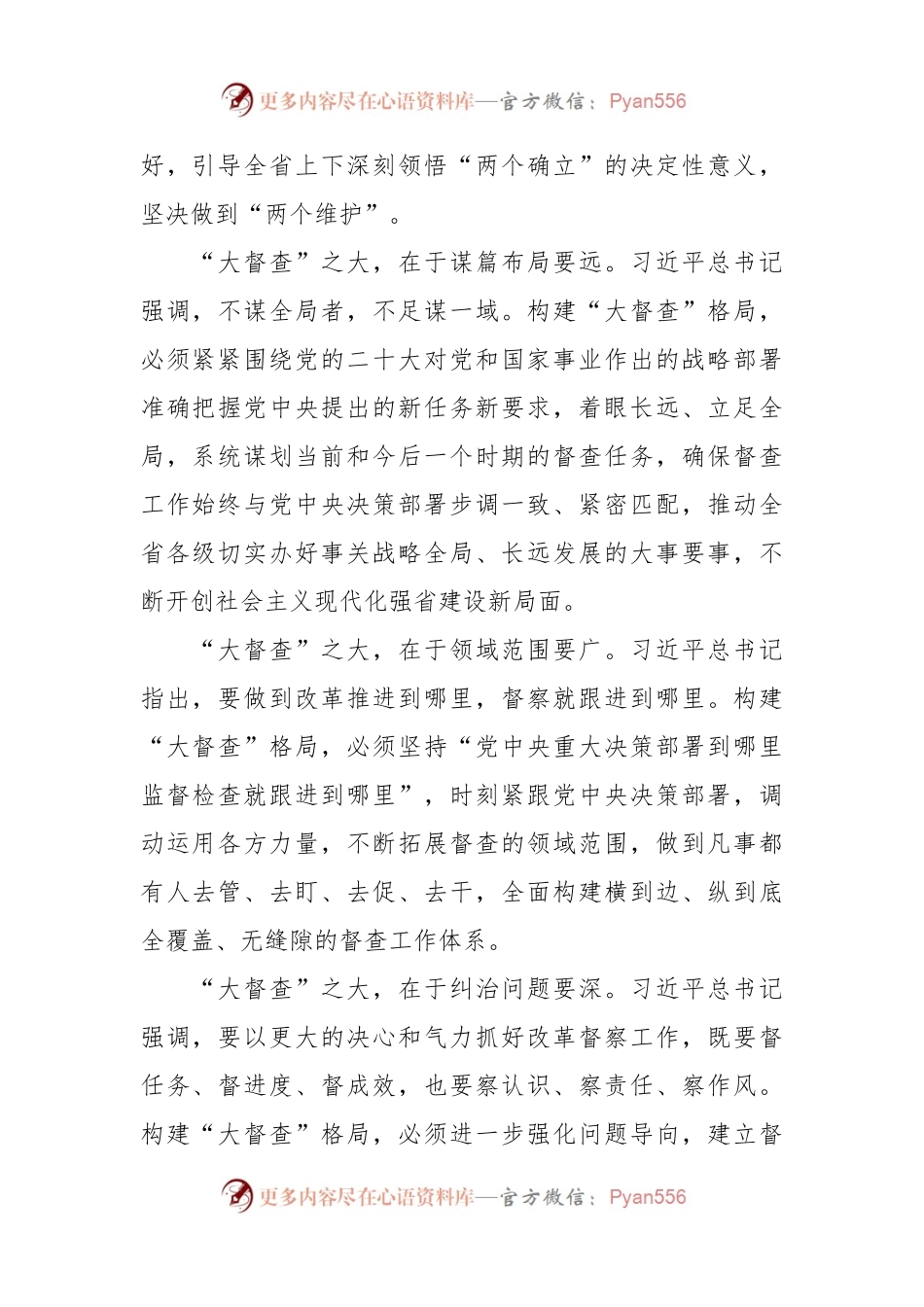 以“大督查”推动“大落实”经验材料.docx_第2页