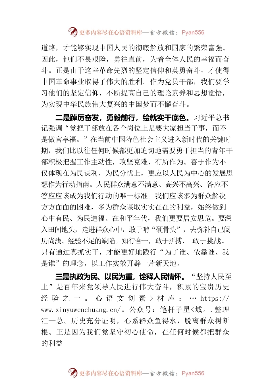 主题教育读书班研讨感悟：绘就实干底色 诠释人民情怀.docx_第2页