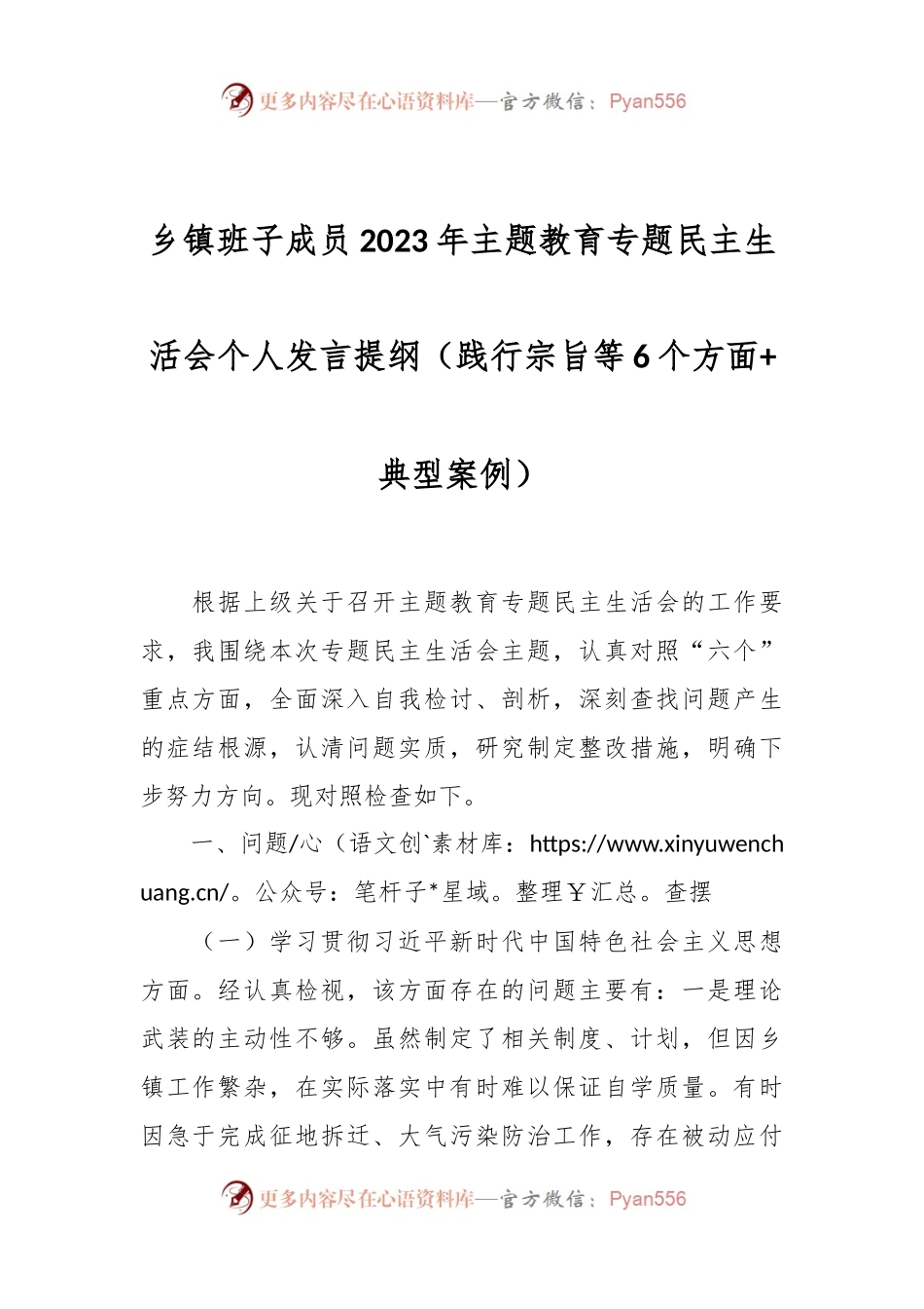 乡镇班子成员2023年主题教育专题民主生活会个人发言稿提纲（践行宗旨等6个方面+典型案例）.docx_第1页