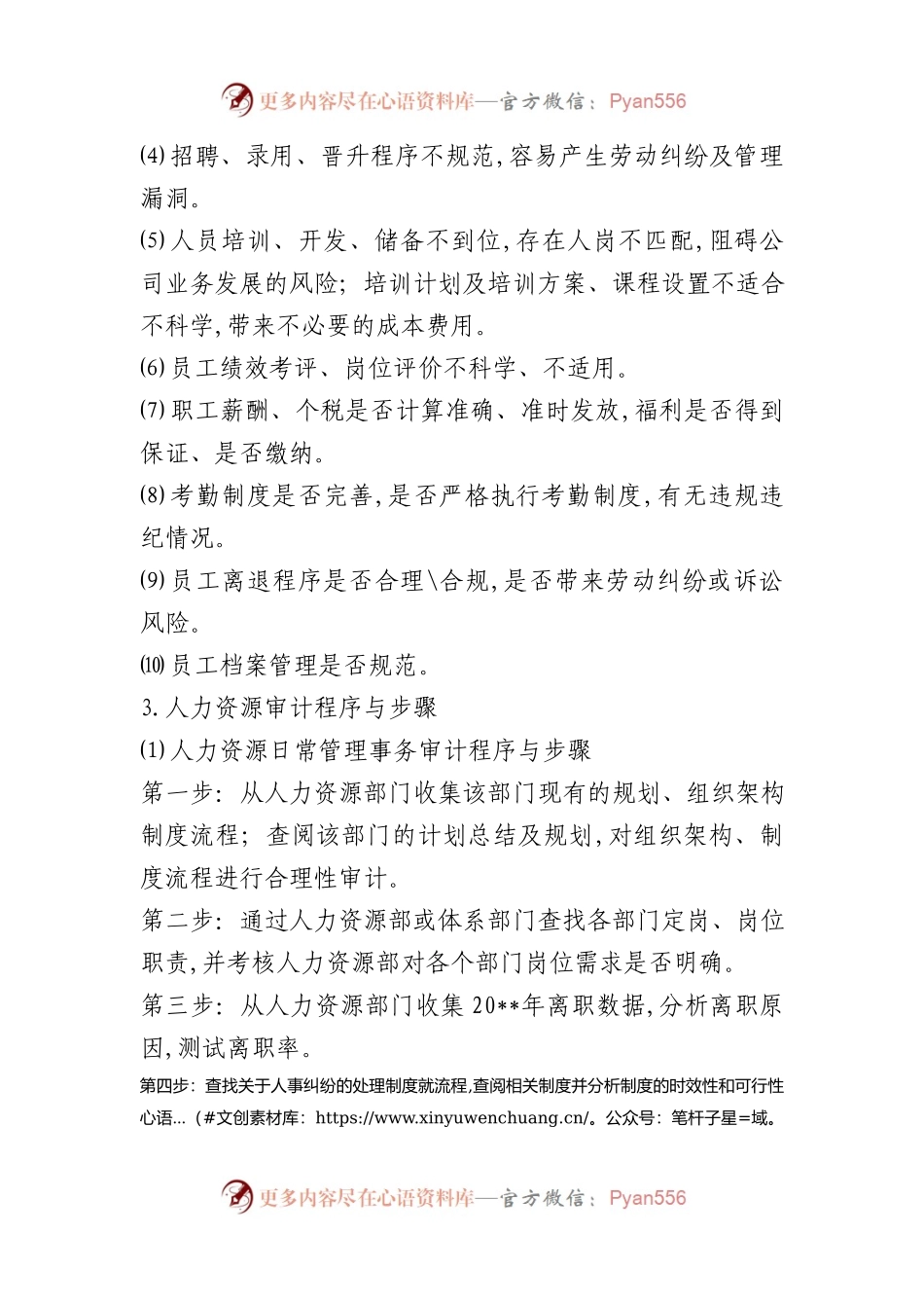 人力资源审计工作方案.docx_第2页