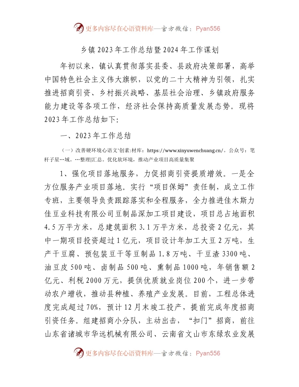 乡镇2023年工作总结6300字.docx_第1页