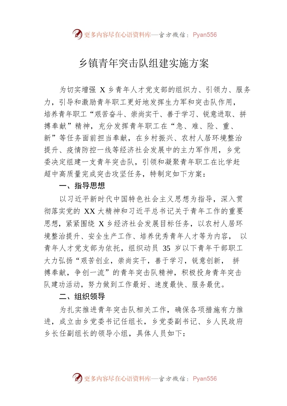 乡镇青年突击队组建实施方案.docx_第1页