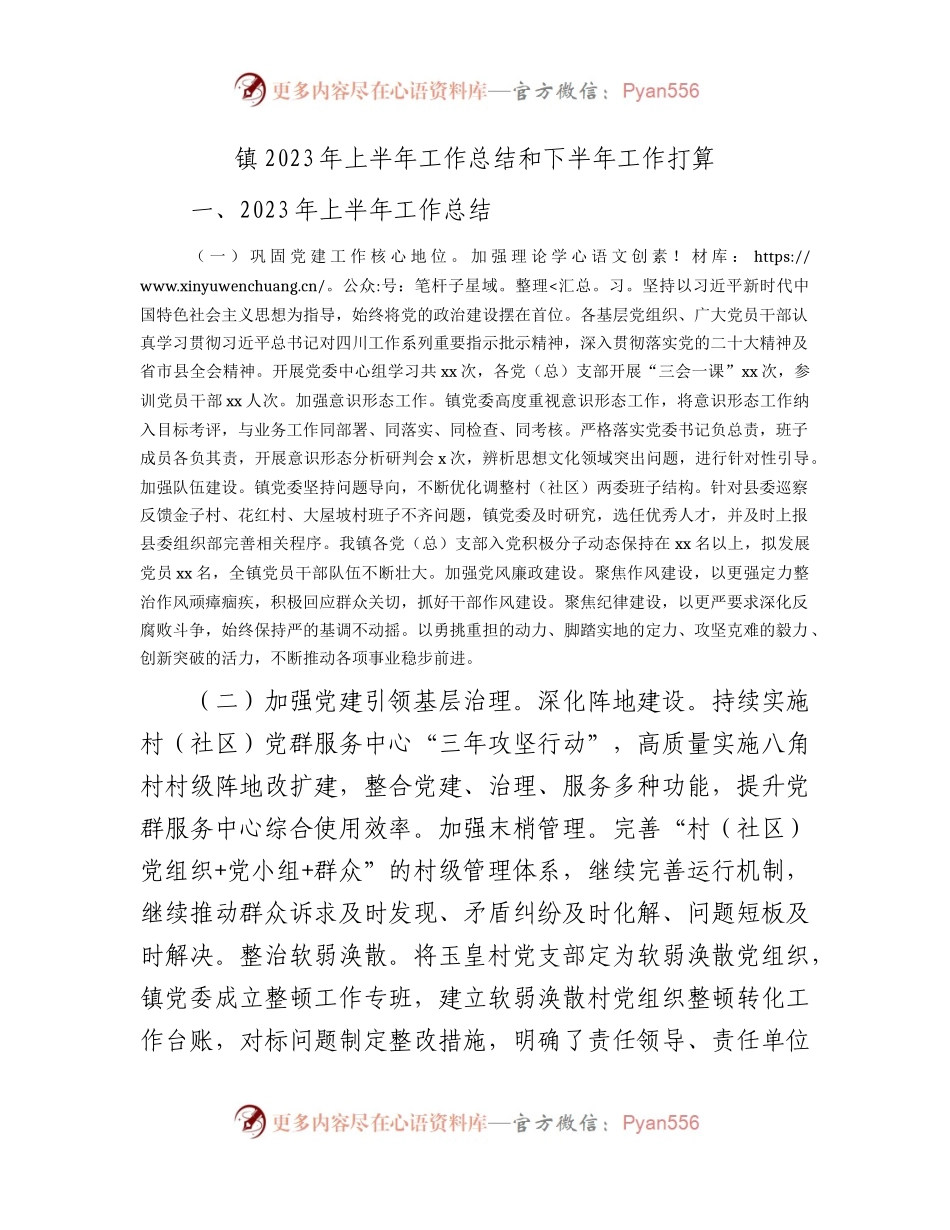乡镇2023年上半年工作总结和下半年工作打算.docx_第1页