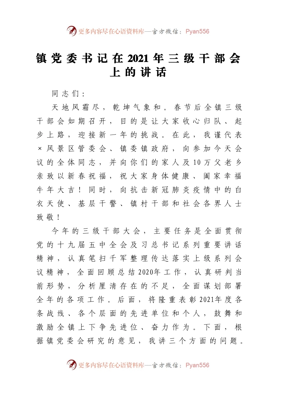 乡镇书记在2021年三级干部会上的讲话.doc.docx_第1页