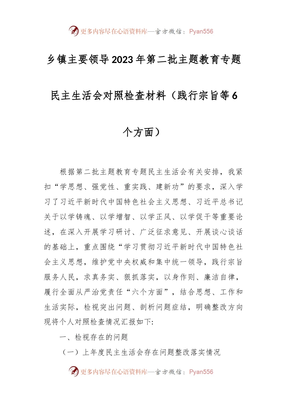 乡镇主要领导2023年第二批主题教育专题民主生活会对照检查材料（践行宗旨等6个方面）.docx_第1页