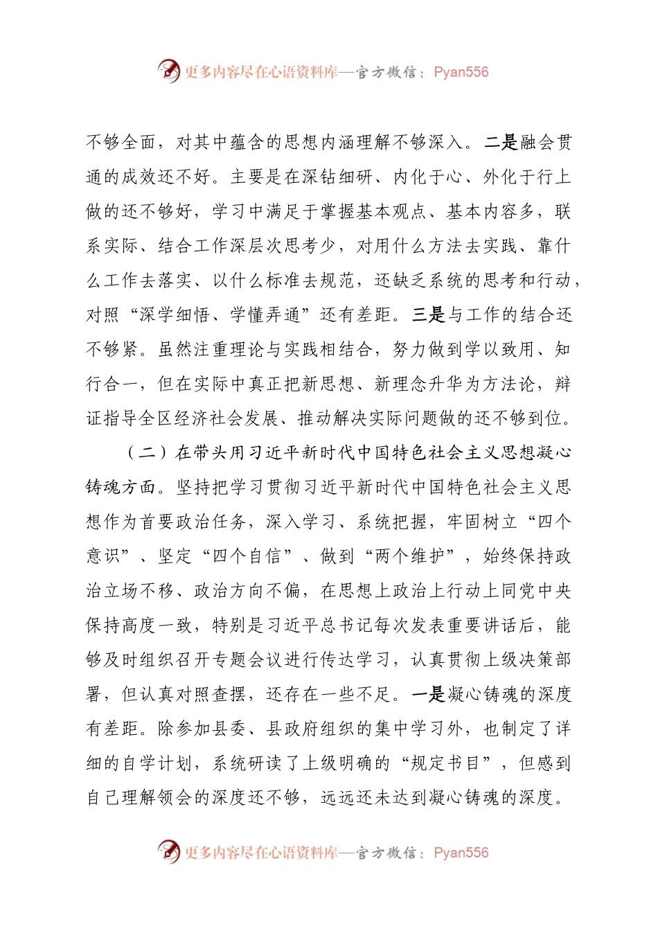 个人县长2022年度专题民主生活会“六个带头”对照检查发言材料.docx_第2页