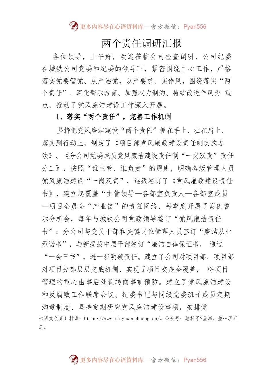 两个责任调研汇报.docx_第1页