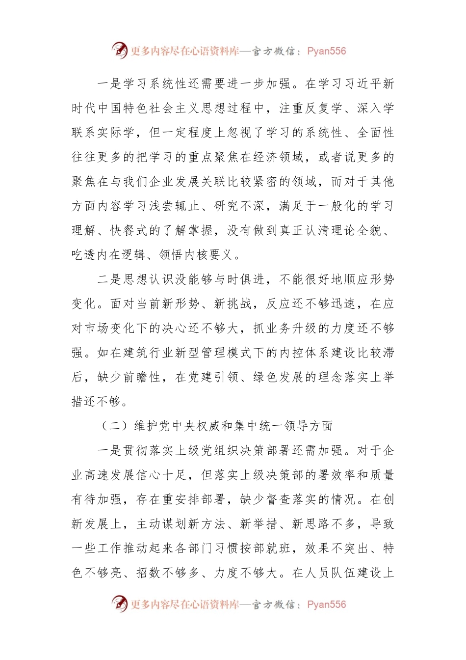 企业党委书记第二批主题教育专题民主生活会对照检查材料（发言稿提纲）.docx_第2页