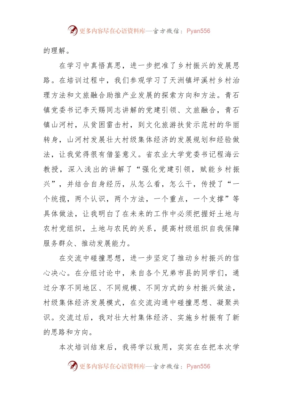 交流发言：坚持党建引领走稳振兴之路.docx_第2页