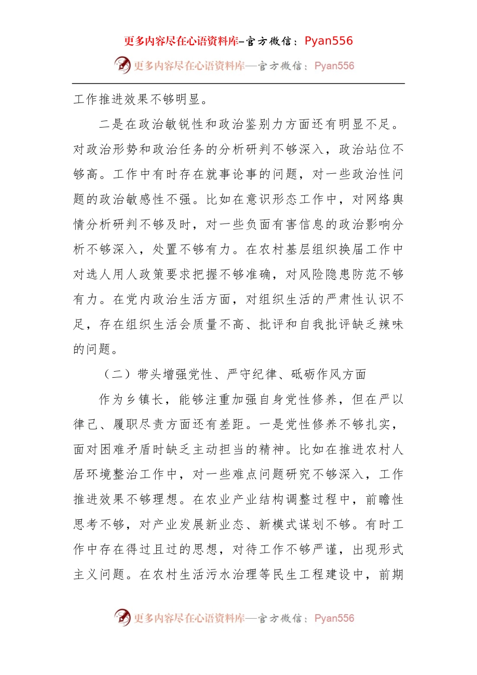 乡镇长2024年民主生活会个人对照检查发言材料（3359字）四个带头.docx_第2页