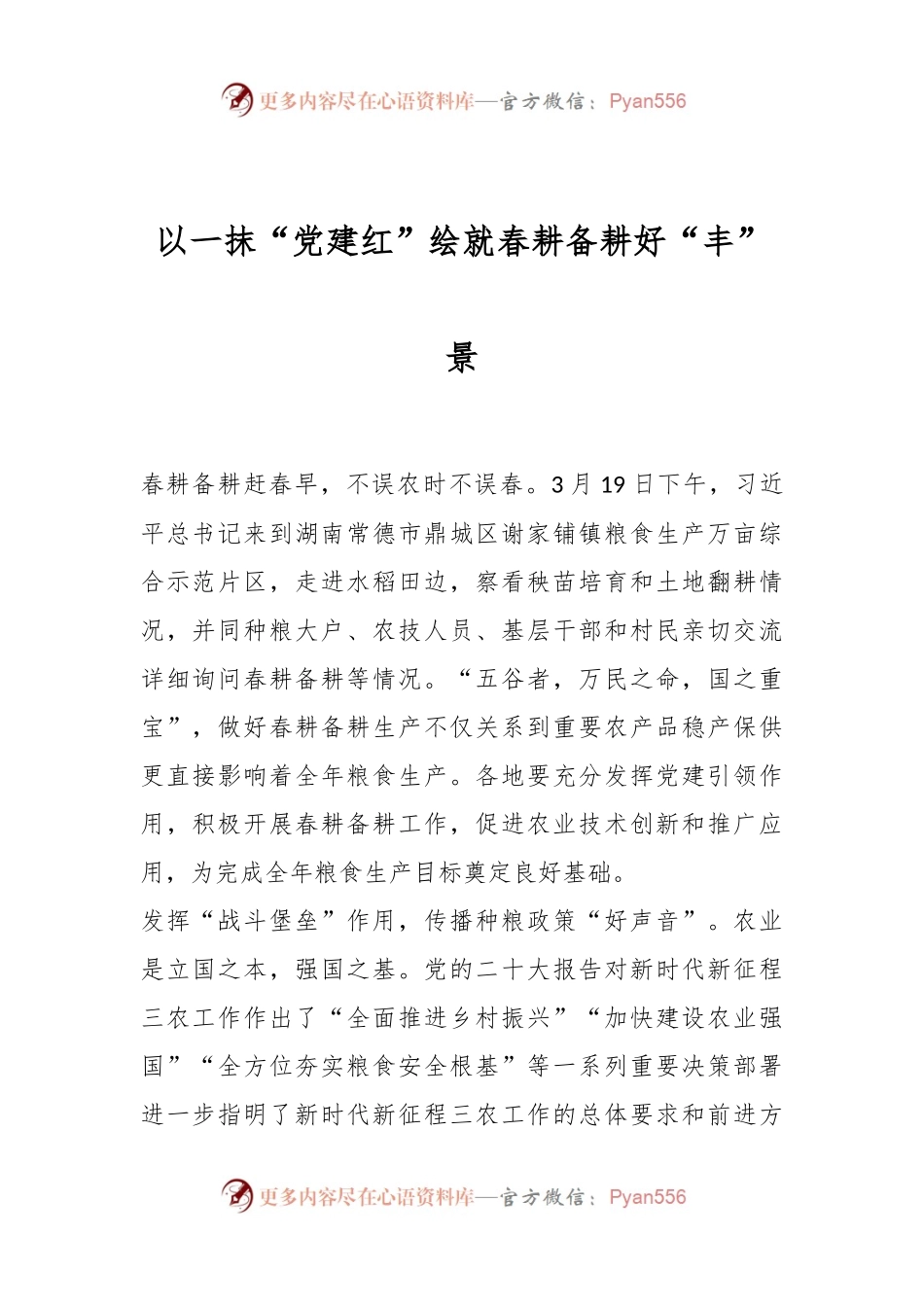 以一抹“党建红”绘就春耕备耕好“丰”景.docx_第1页